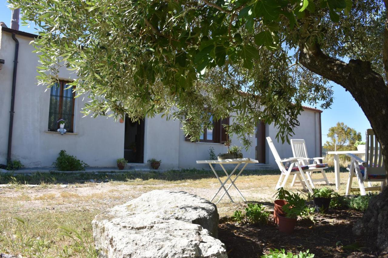 Su Cuile Historical Country House With Barbecue Martis 外观 照片