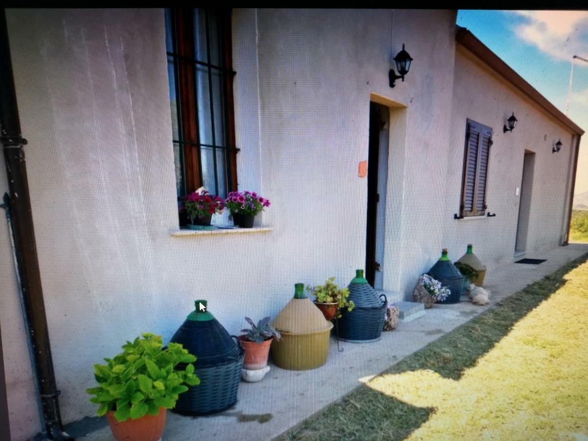 Su Cuile Historical Country House With Barbecue Martis 外观 照片